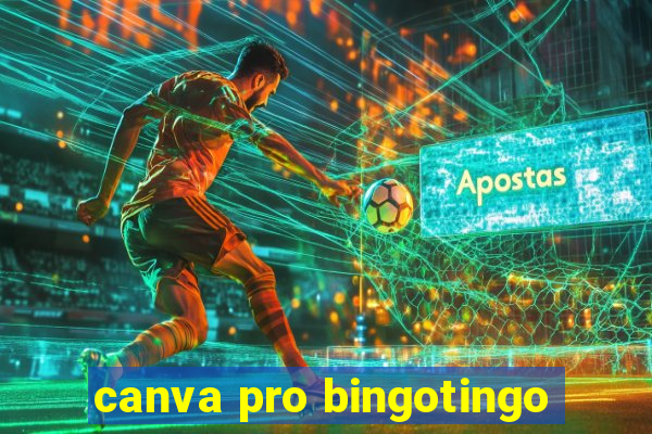 canva pro bingotingo